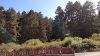 The Garden Suite has beautiful views of forests and pastures! It is dog friendly