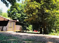 CABIN AT THE COVE at Watauga Lake!