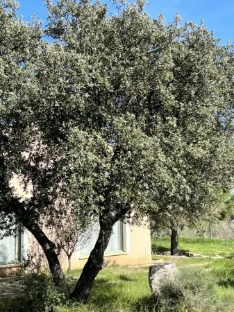 Gîtes 3 Chambres -Piscine -Vue Sur la vallée de l'Orb