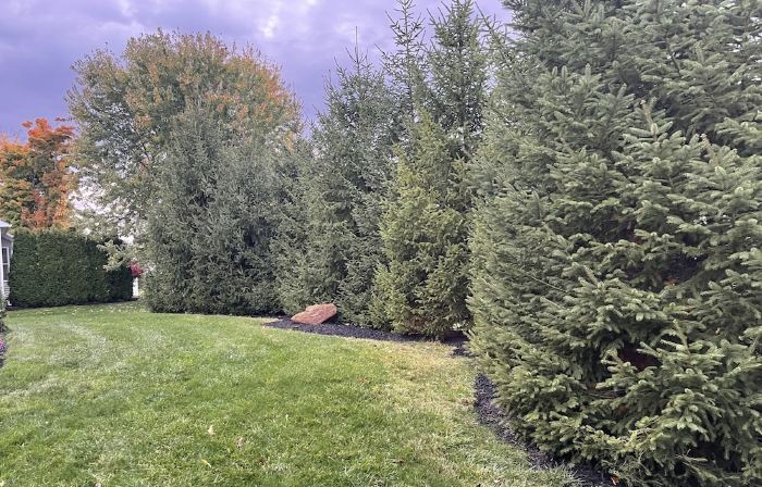 Gorgeous Newer 2 Story House in Friendly Neighborhood w Salt Water Hot Tub