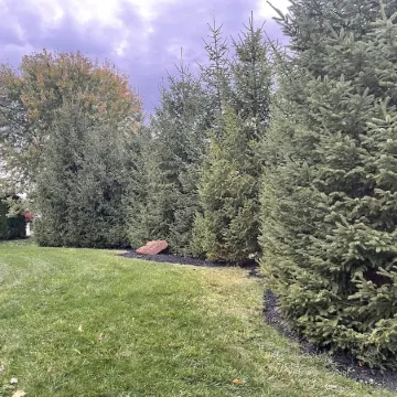 Gorgeous Newer 2 Story House in Friendly Neighborhood w Salt Water Hot Tub