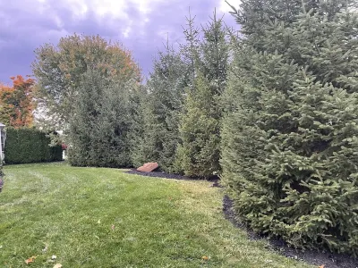 Gorgeous newer 2 story house in friendly neighborhood w new salt water hot tub