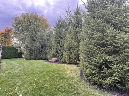 Gorgeous Newer 2 Story House in Friendly Neighborhood w Salt Water Hot Tub Отели в г. Клей