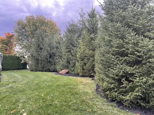 Gorgeous newer 2 story house in friendly neighborhood w new salt water hot tub