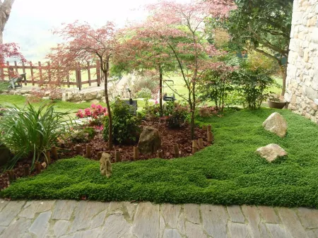 Casa La Marina. Berbes. Finca 3000 m2, parking, overlooking the sea / mountain, golf 500 m