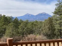 Cowboy Cabin in the Mountains - Quiet Getaway