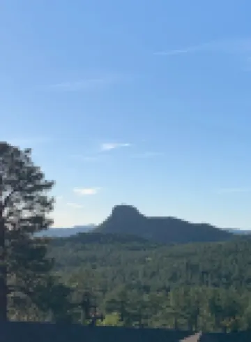 Cozy Cabin in the Pines with Views!