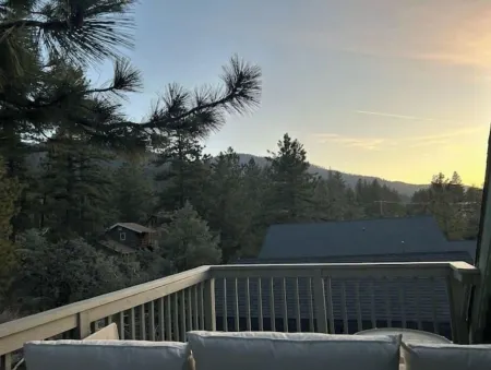 Modern Mountain Forest Cabin