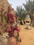 TATRABENT - Eco Friendly retreat in Siwa