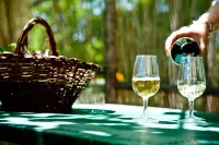 Agriturismo Marchesi Gondi - Camerata