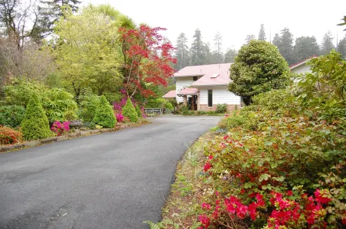 Recently opened the Redwood National Park Riverfront Retreat