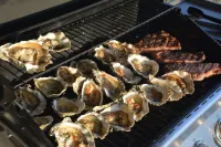 PEACEFUL BAYSIDE GETAWAY