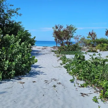 Little Gasparilla Island a 2-bedroom cottage wth WiFi and AC on a private island Отели в г. Пласида