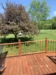 Cozy Ski retreat with new Pet 🦮 Yard and many upgrades! Close to 3 Ski areas!