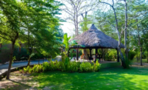 Mayur the Karma Resort