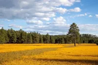 Quadmanor is Located in Munds Park Az, Inbetween Flagstaff and Sedona