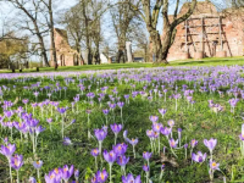 Boddenidyll Hotels in Greifswald