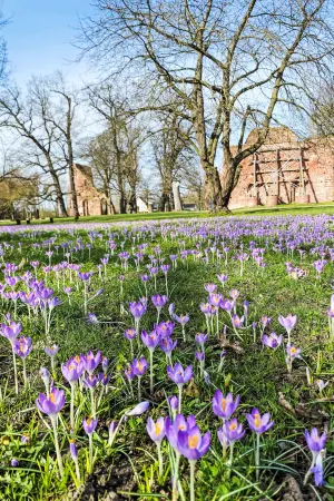 Boddenidyll Отели в г. Грайфсвальд