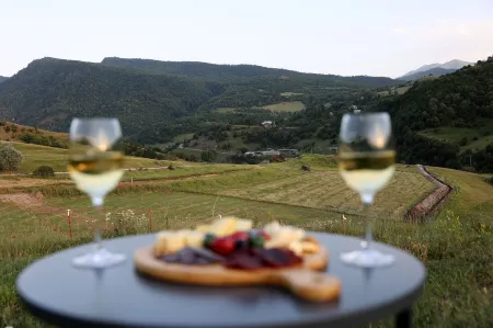 Concept Hotel by Coaf Отели в г. Ванадзор