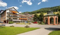 GesundheitsHotel Das Bad Peterstal Hotels in Bad Peterstal-Griesbach