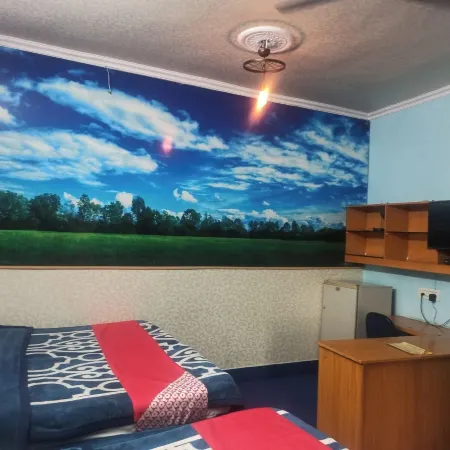 Hotel Meenu Inn Отели рядом с достопримечательностью «Торговый центр Pink Square Mall»