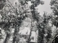 Love Kush Cottage