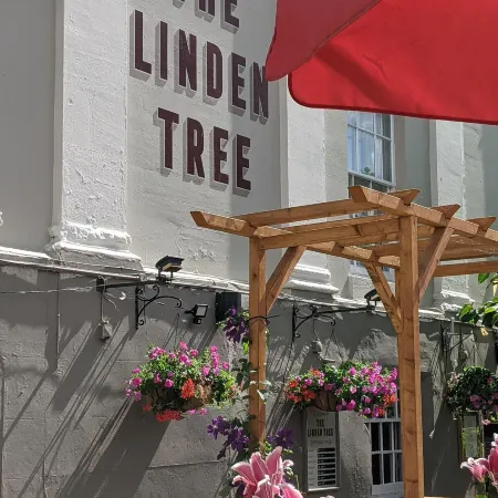 Linden Tree