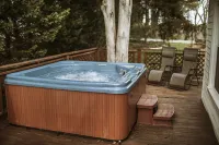 Biltmore Village Inn B&B - spa
