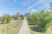Il Vecchio Faro H208 150Mt from the Beach - Happy Rentals