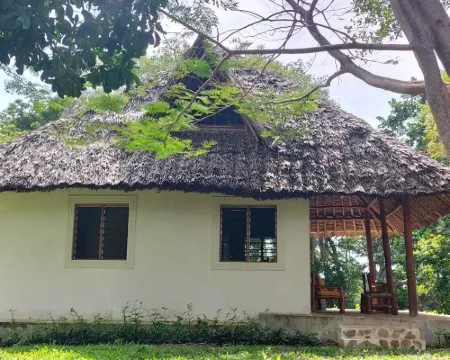 Cove House House 60 m2 Creekside Indian Ocean Hotels in Shimoni