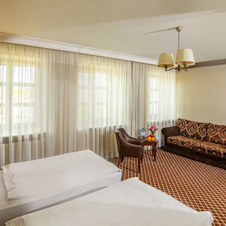 Hotel Wileński
