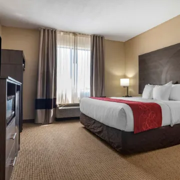 Comfort Suites Mobile West/Tillmans Corner