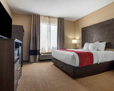 Comfort Suites Mobile West/Tillmans Corner Hotels in Mobile County
