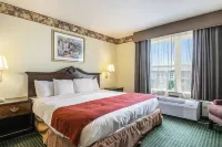 Country Inn & Suites by Radisson, Elkhart North, IN Hotel a Elkhart