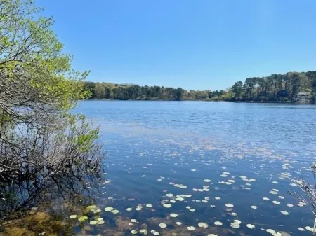 Waterfront Modern Home in Eastham, on a Pond Отели рядом с достопримечательностью «Кост Гард Бич»