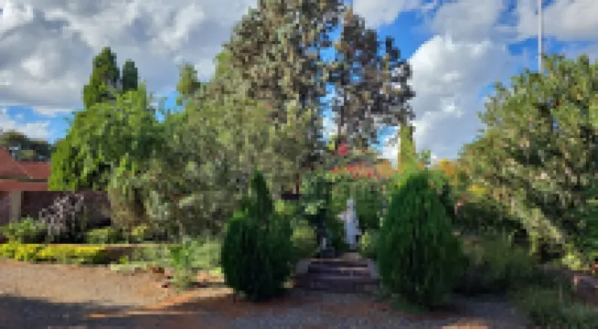 Flower Lane Guesthouse Hotels in 