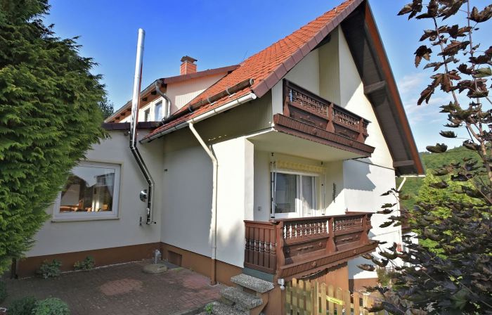Gruppen- Ferienhaus in Wieda