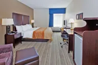 Comfort Inn Hôtels à : Young Harris