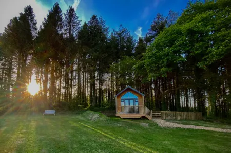 Cabin in the Woods - 1 Bed - Kilgetty