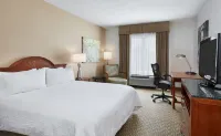 Hilton Garden Inn Charlotte North - Bars