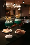 Pullman Toulouse Airport - bar