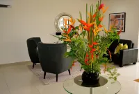 New Brookfields Hotel Hotels in Freetown