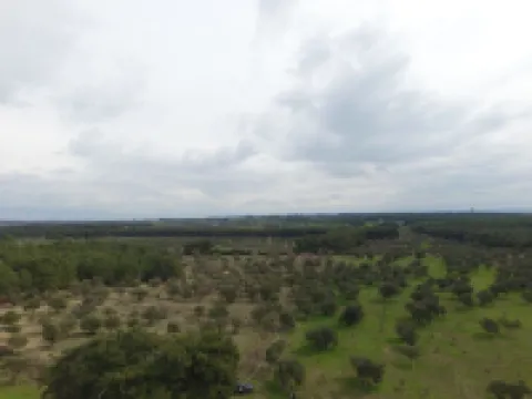 ヘムデム・アルシテペ エジェアバトのホテル