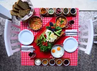 쥐베이드 하늠 알라사트