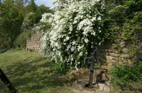 Auberge du Thiollet Hotels in Montromant