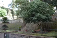Napoliseason Rooms and Breakfast Hotels in Vomero