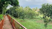 Gibbon Singing Home Stay Các khách sạn ở 