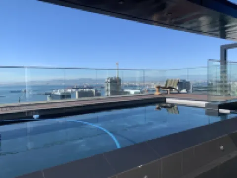 Urban Elephant 16 on Bree