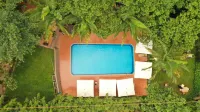 Forest Cottages - Pool