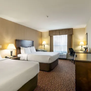 Comfort Inn & Suites